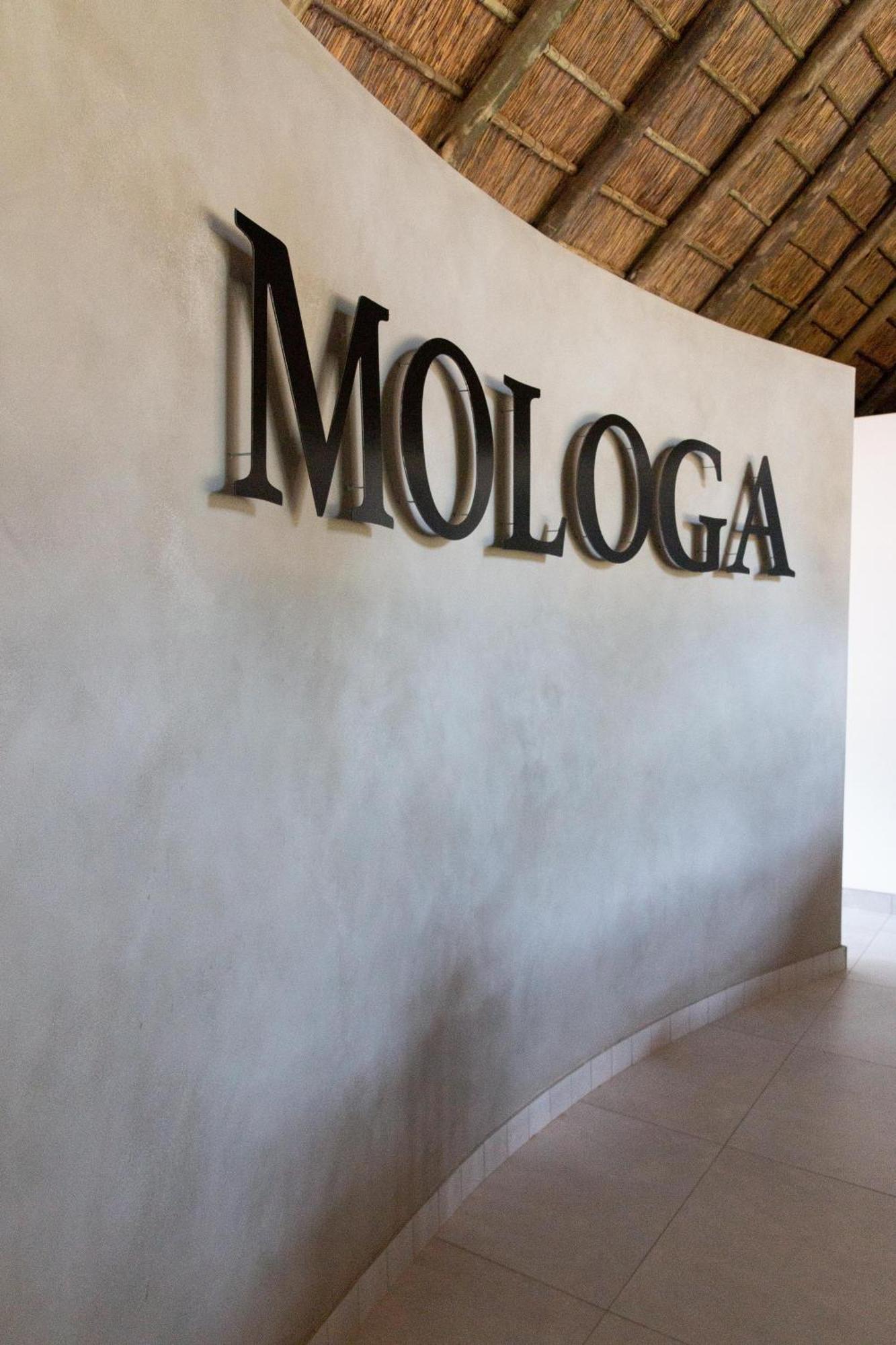 Mologa River Lodge Rust de Winter Eksteriør billede